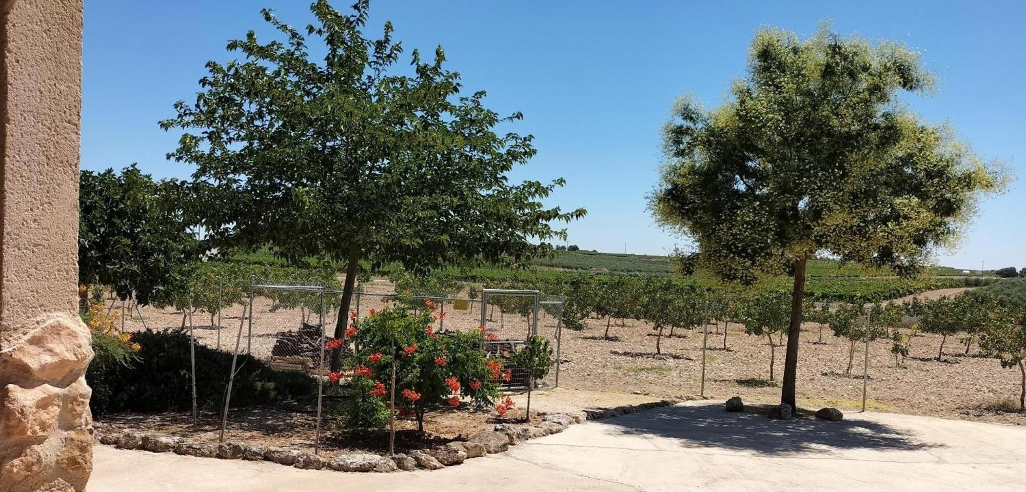 Casa Rural Las Caleras Daimiel Eksteriør billede